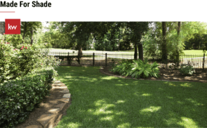 Made For Shade